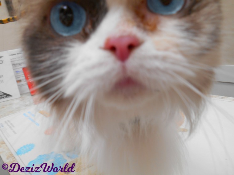 Raena close up of face, selfie