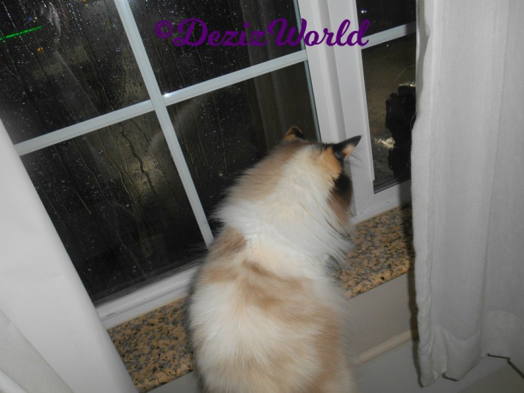 Raena looks out window at storm