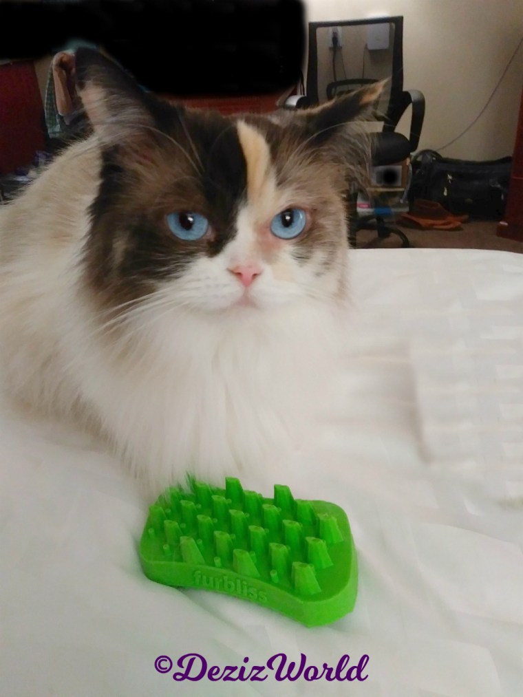 Raena poses with furbliss