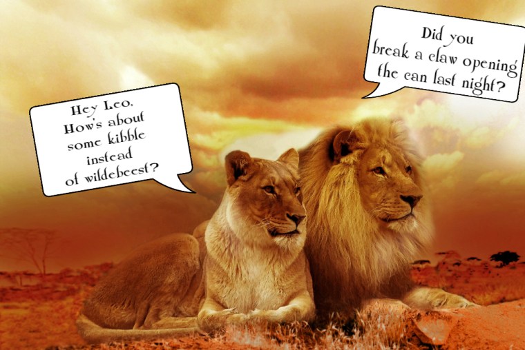 Lion and lioness dicuss food