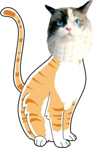 Raena as orange tabby