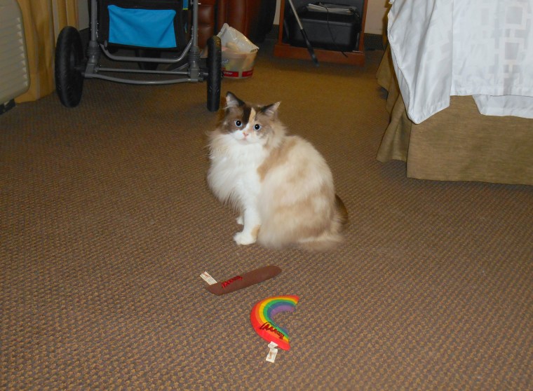 Raena sits pretty selfie