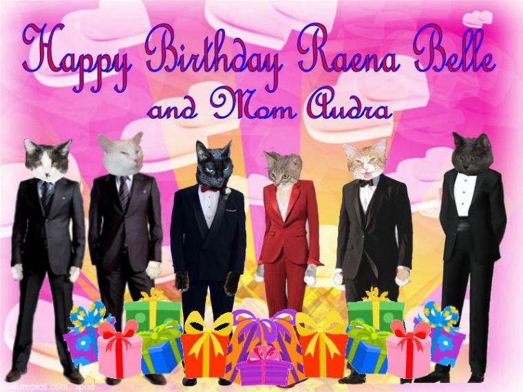 Timmy Tomcat and family birthday card