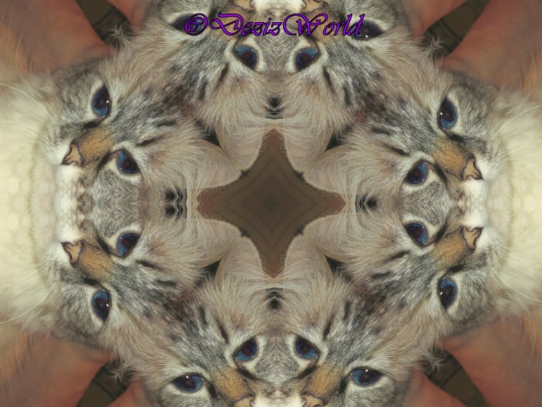 Dezi kaleidescope selfie