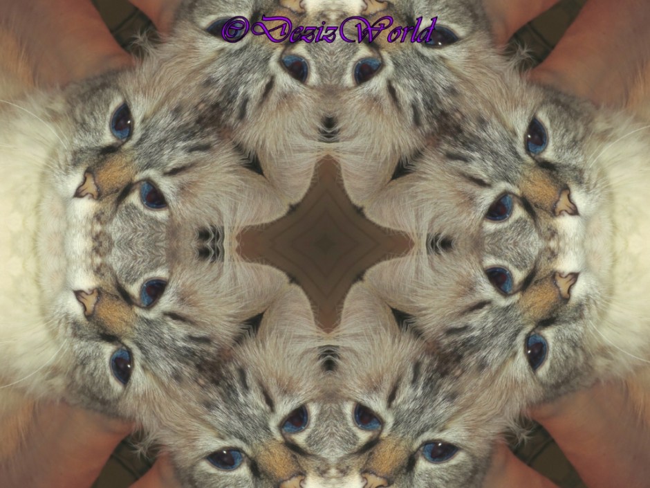 Dezi kaleidescope selfie