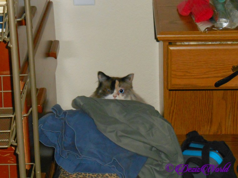 Raena hides behind clothes