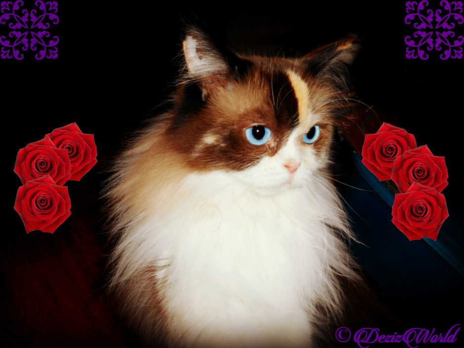 Raena selfie in monocco filter