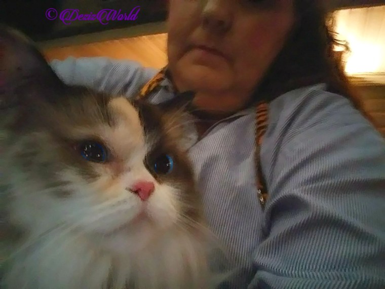 Raena selfie in mommy A's lap at Medford