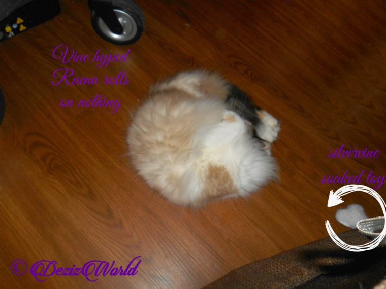 Raena vined out with toy behind her