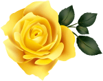 Yellow Rose Clip Art