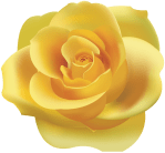 Yellow Rose Clip Art