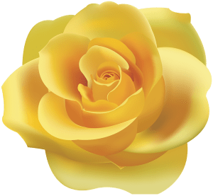 Yellow Rose Clip Art
