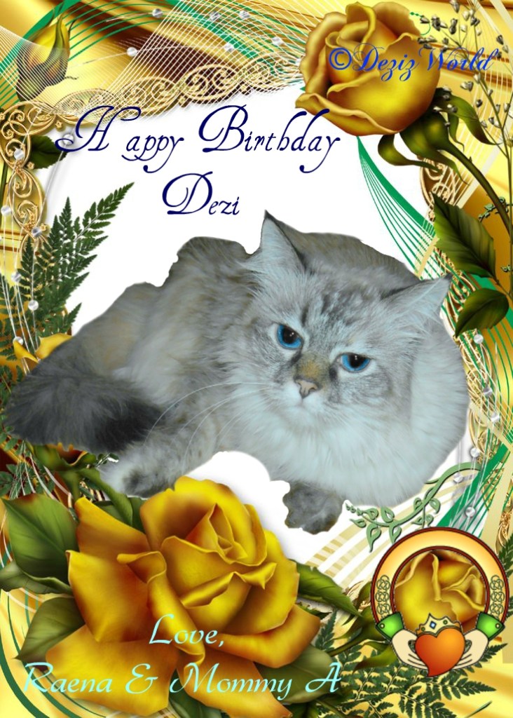 Dezi in a yellow rose birthday frame