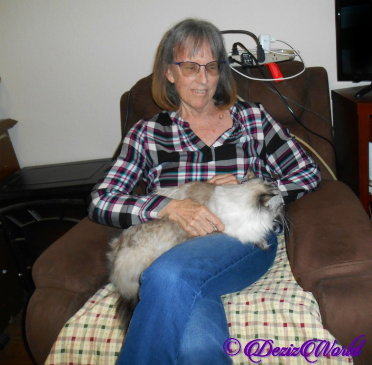 Dezi lays in Ava's lap