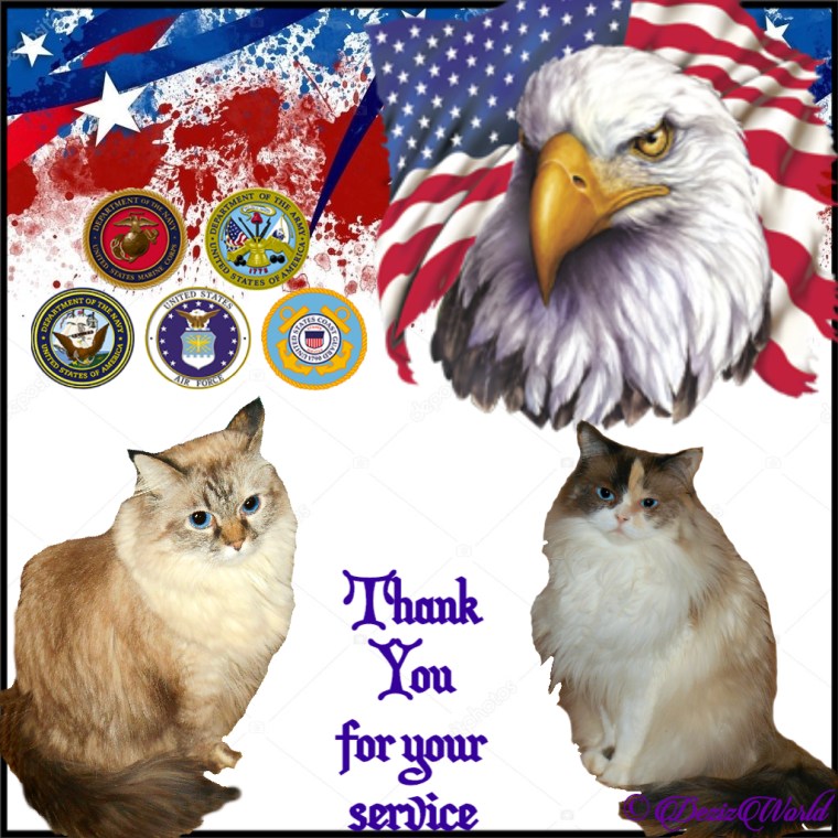 Dezi and Raena thank Vets for their service