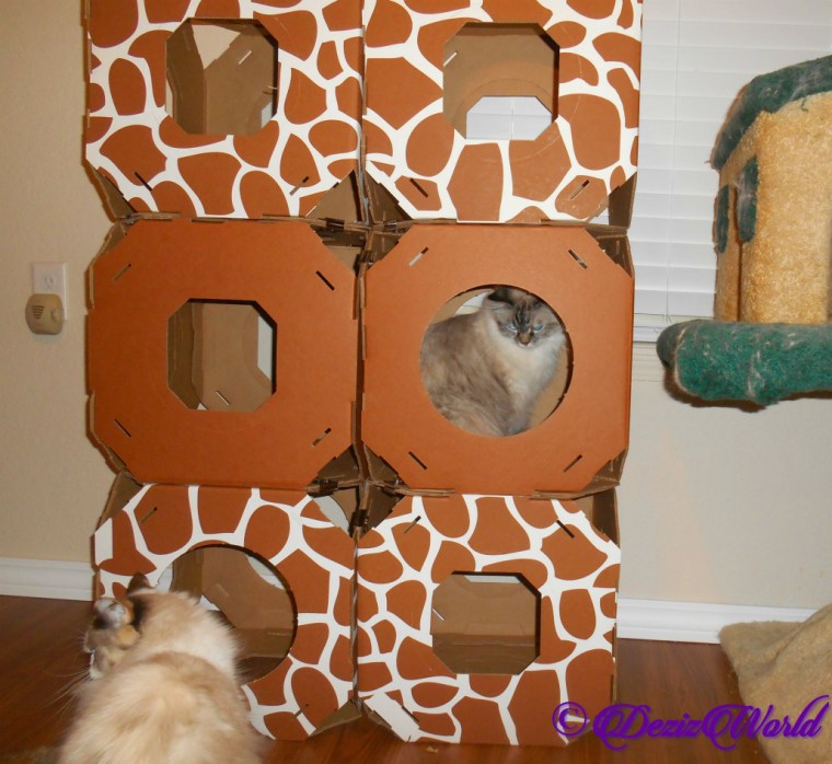 Dezi sits in Stacks and Raena walks up