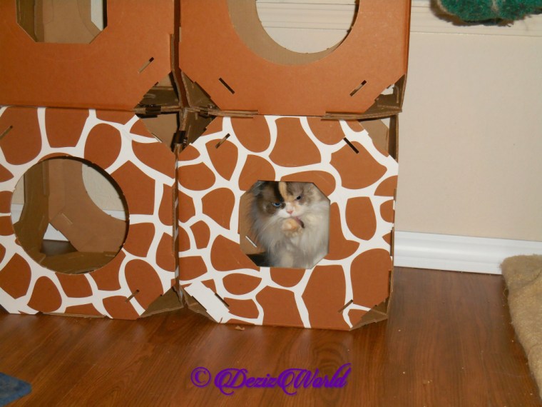 Raena bathes in Stacks