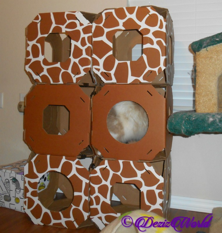 Raena sits in Stacks