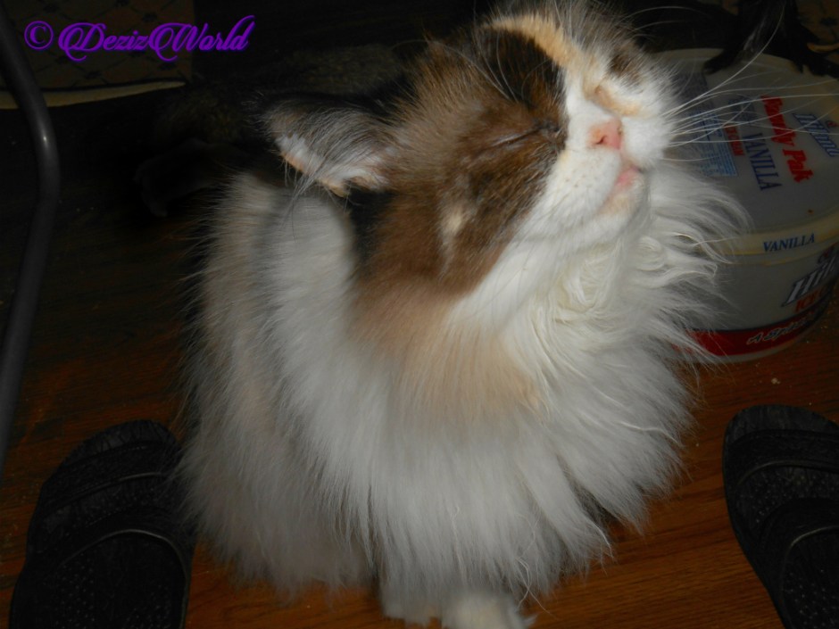 Raena with her kissy face