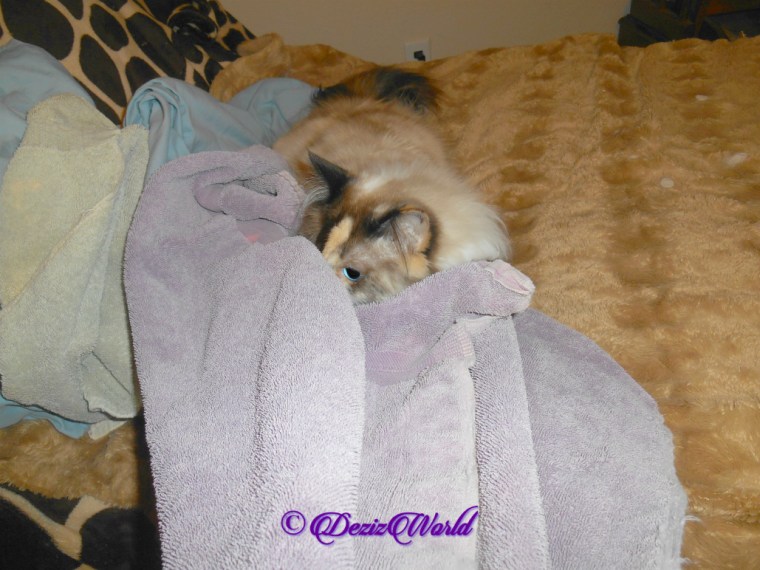 Raena plays in laundry