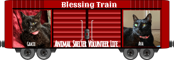 Gracie and Ava 2019 boxcar