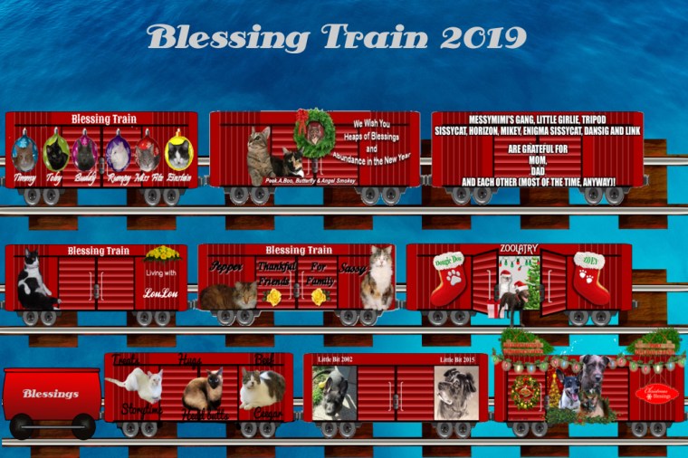 Blessing Train 2 week 3