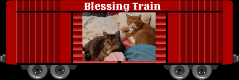 Annie and Charlie Blessing Train 2019