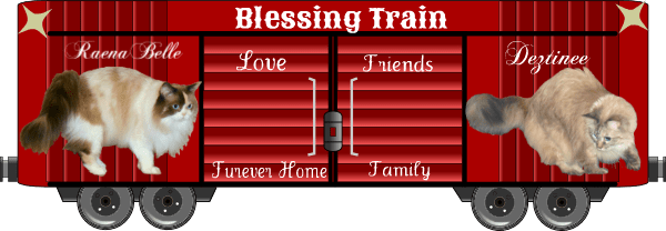 Dezi and Raena final 2019 boxcar