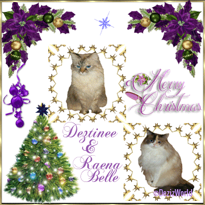 Dezi and Raena's Christmas card 2019