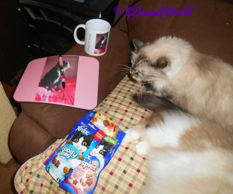 Raena lays on nip nanner while Dezi lays behind her in chair