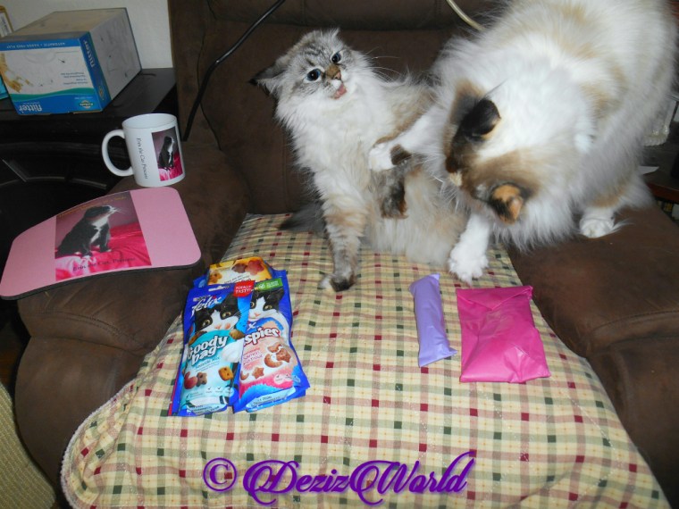 Dezi and Raena whacky paw over the nip nanner from Erin