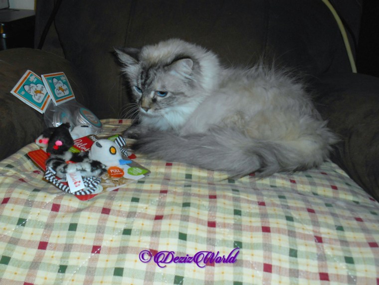 Dezi checks out gifts from Vonda