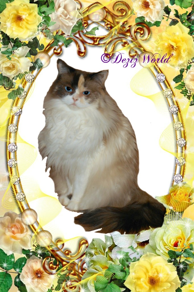 Raena in yellow rose frame