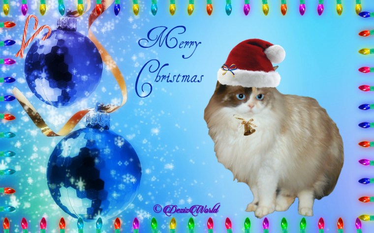 Raena in Christmas frame with santa hat