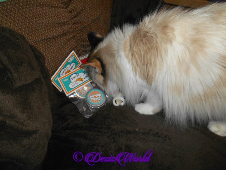 Raena checks out gifts from Vonda