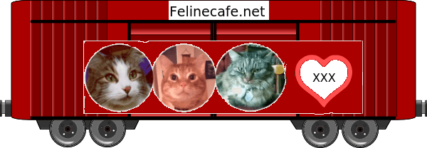 Feline Cafe 2019 Blessing Train