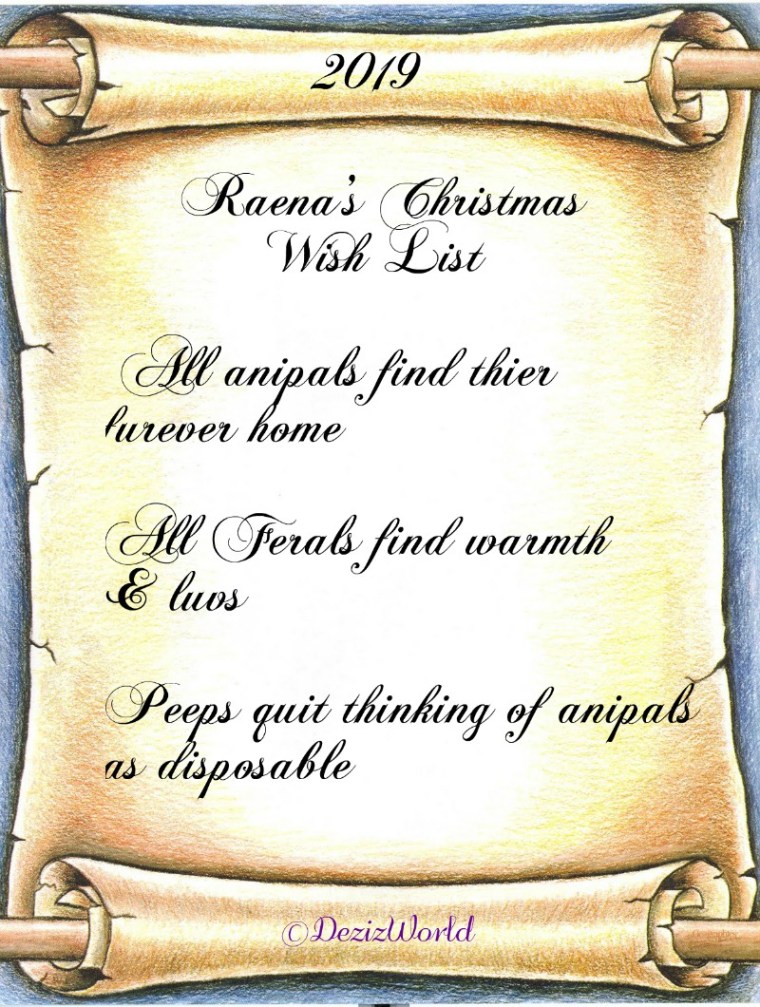Raena's 2019 Christmas wish list
