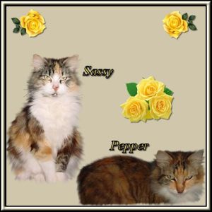 Sassy and Pepper, Vonda