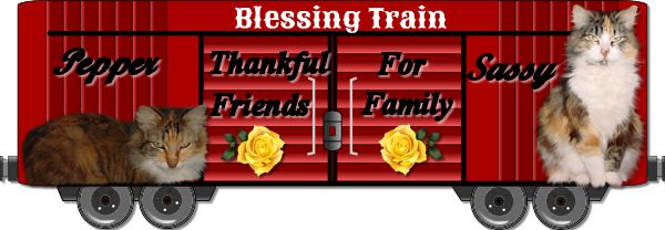 Vonda's Sassy and Pepper boxcar