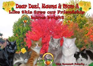 Timmy, Einstein, Fitz, Toby, Buddy, Rumpy