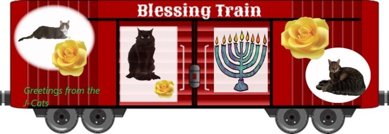 JCats Trixie, Caspurr and Shimishi boxcar 2019