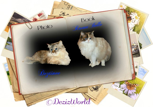 Dezi and Raena in photo book frame