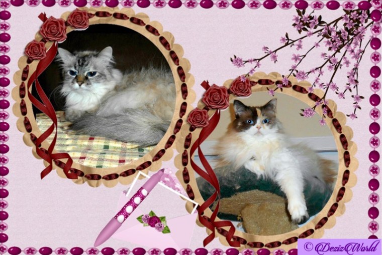 Dezi and Raena in violet circles frame