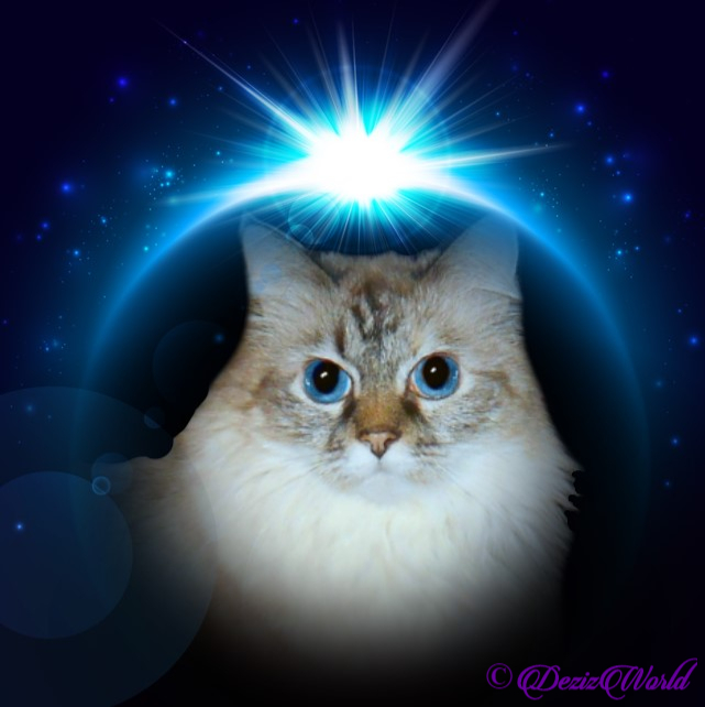 Dezi in blue shine frame