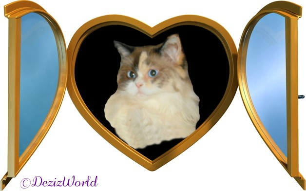 Raena in framed heart window