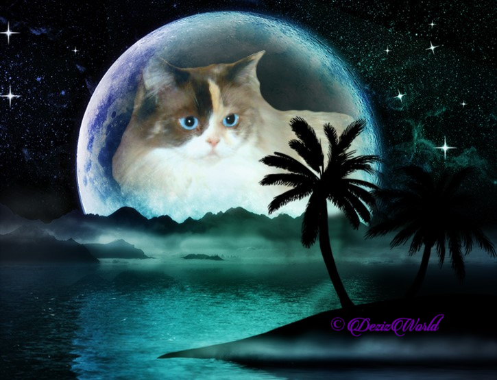 Raena in the island moon