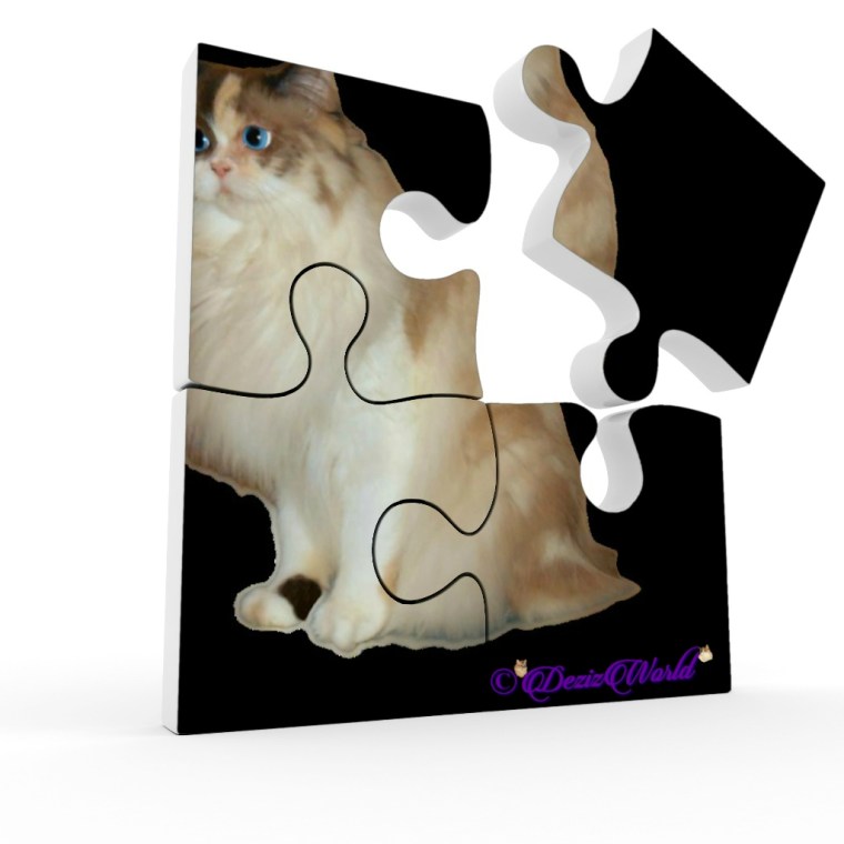 Raena as a puzzle