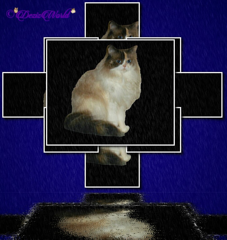 Raena in rainy tiles with reflection