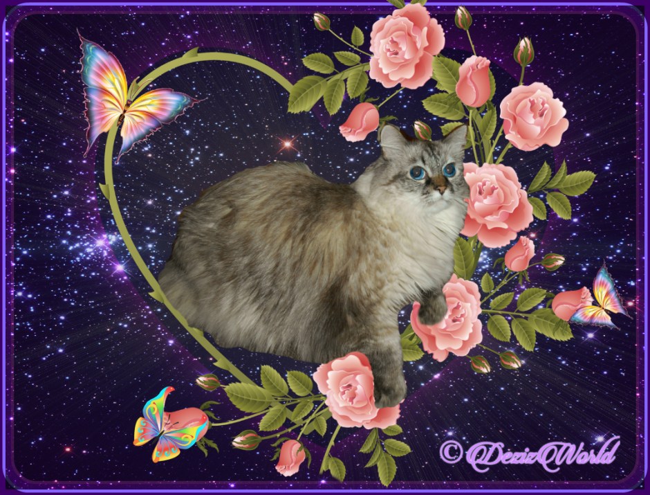 Dezi surrounded by roses and butterflies, selfie