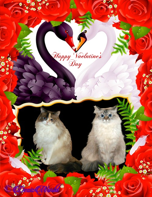 Dezi and Raena happy Vaelntine's day frame